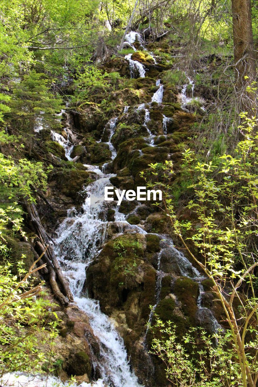 SCENIC VIEW OF WATERFALL ALONG TREES