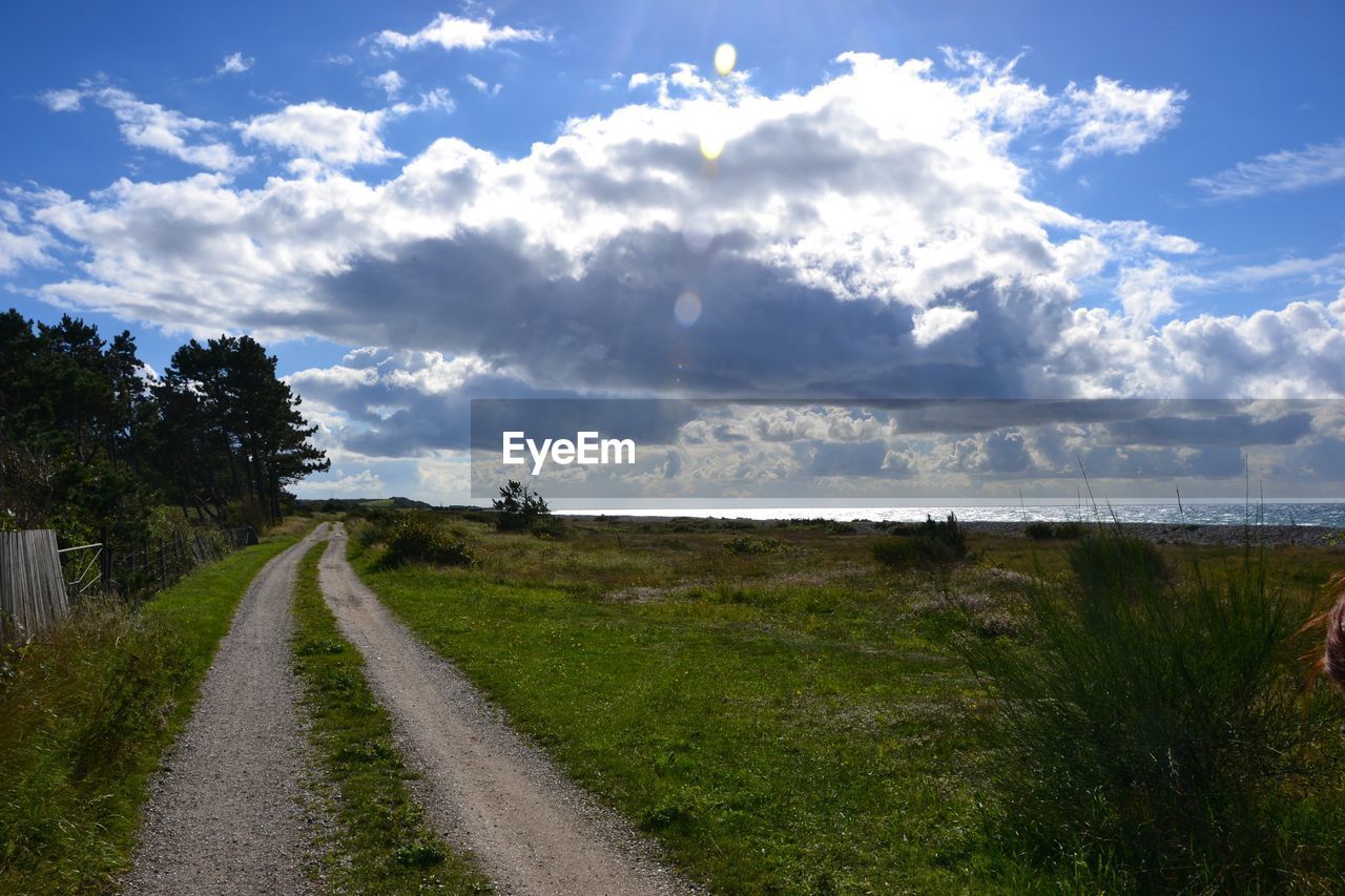 SCENIC VIEW OF GRASS AND SKY