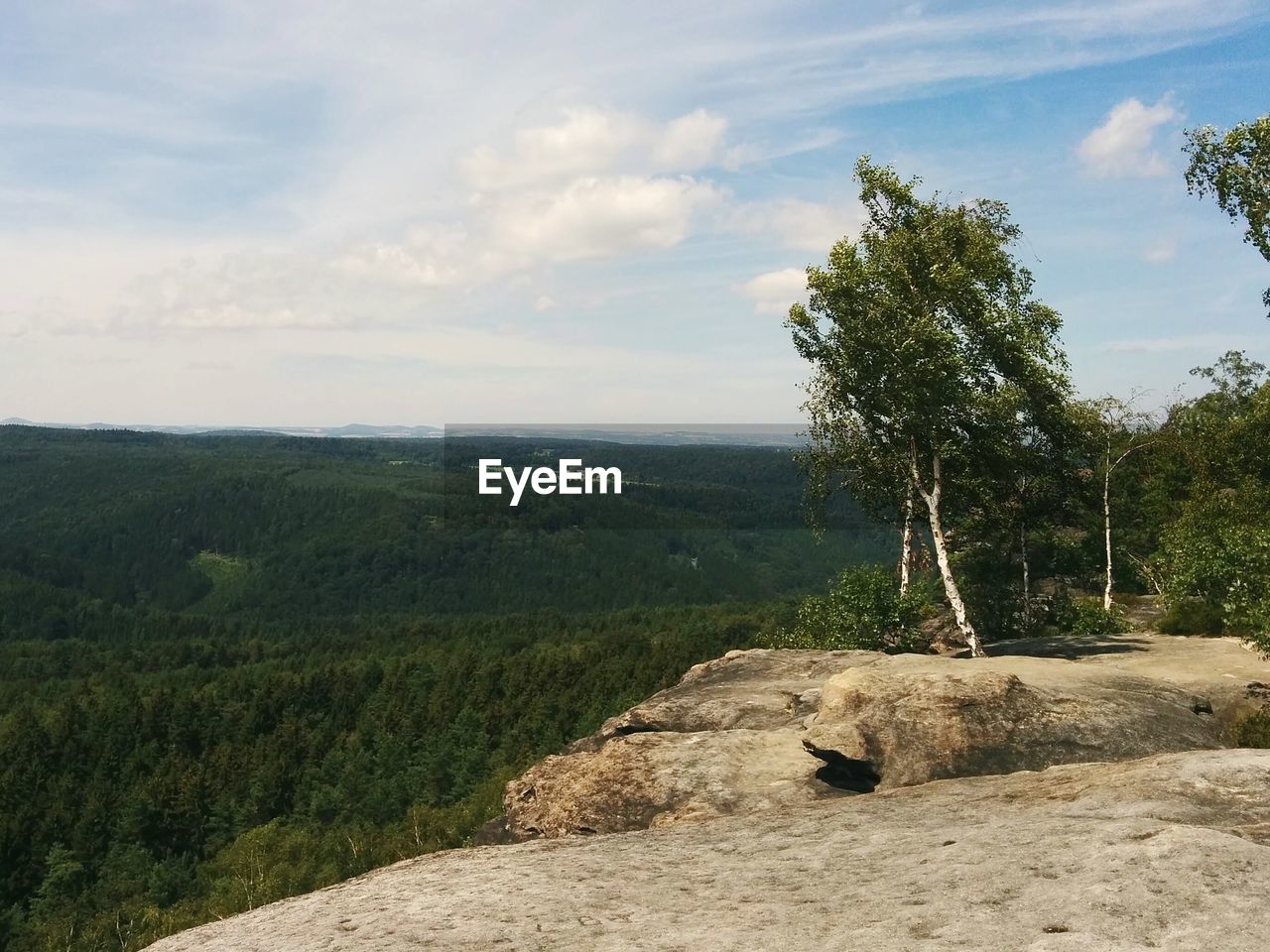 SCENIC VIEW OF TREE MOUNTAIN AGAINST SKY