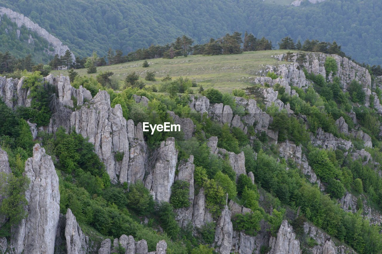 HIGH ANGLE VIEW OF PANORAMIC SHOT OF TREES AND ROCKS