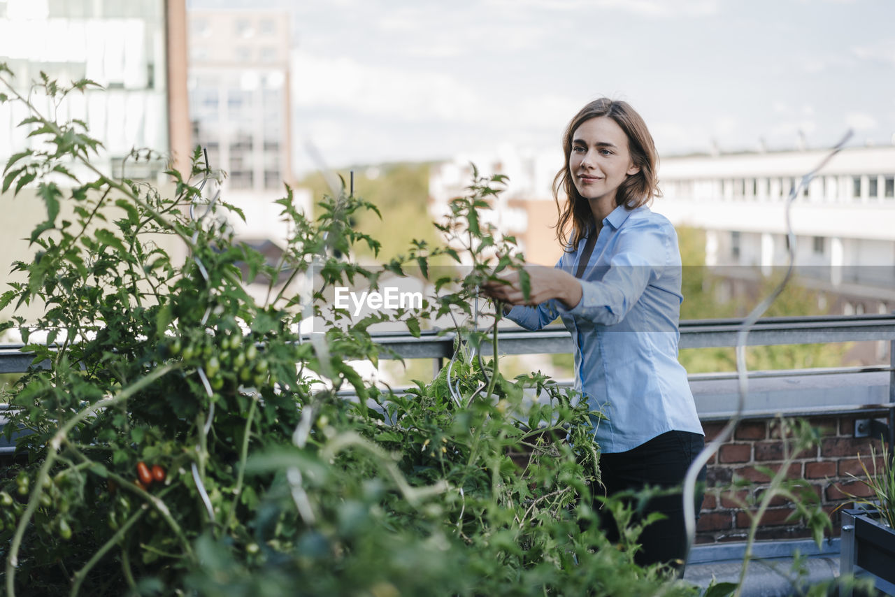 Businesswoman cultivating vegetables in his urban rooftop garden