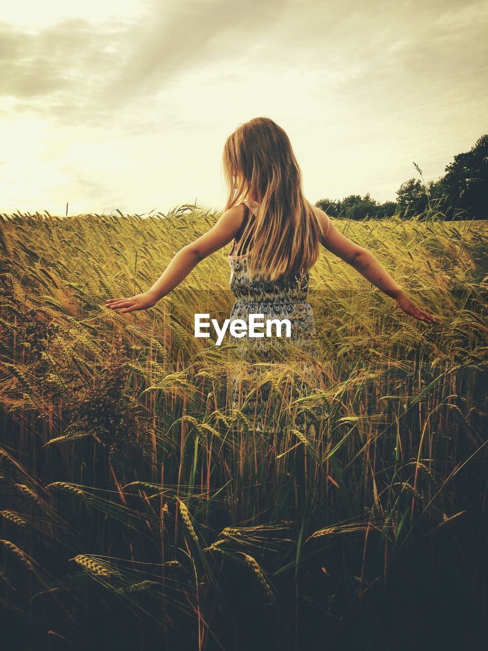 Rear view of girl standing in wheat field against sky