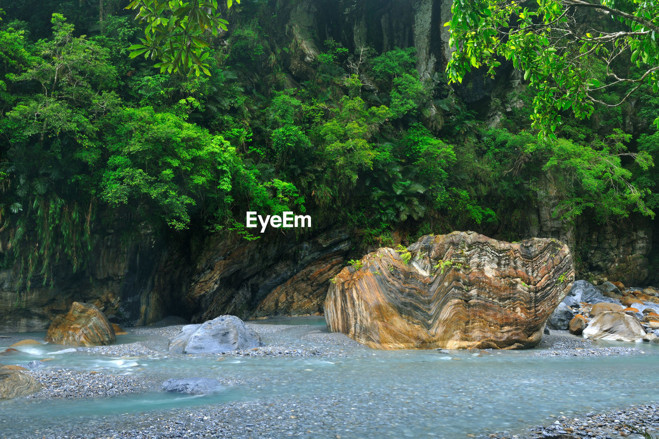 Scenic view of sea by trees