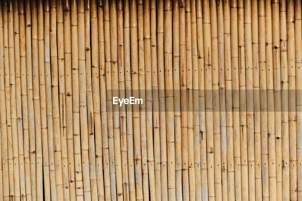 FULL FRAME SHOT OF BAMBOO ON WOODEN WALL