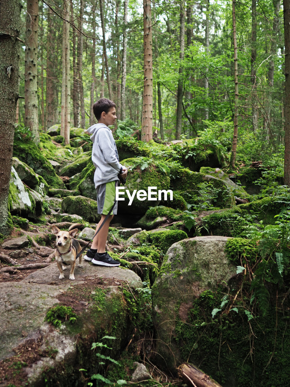 Young boy walks the small dog in summer forest