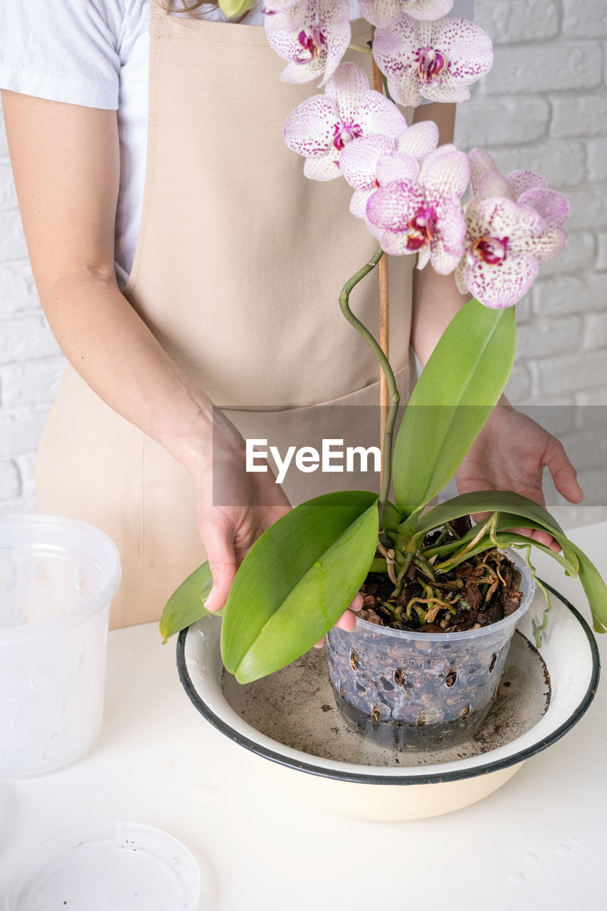 midsection of woman holding flower