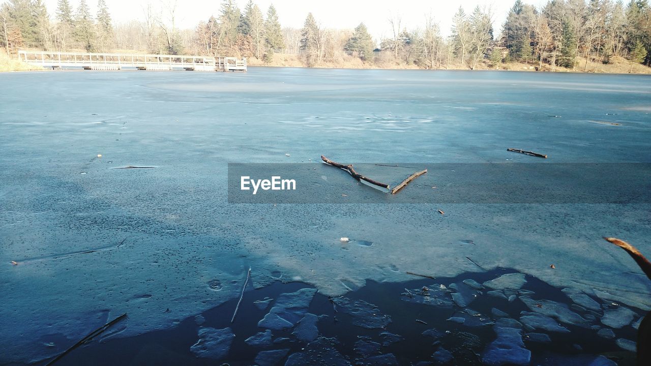 BIRDS IN WATER