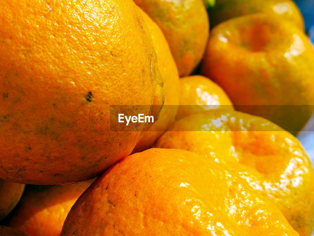 FULL FRAME SHOT OF ORANGE FRUITS