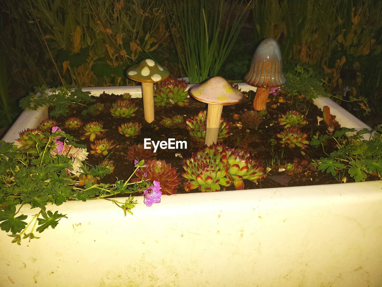Artificial mushrooms and plants in garden