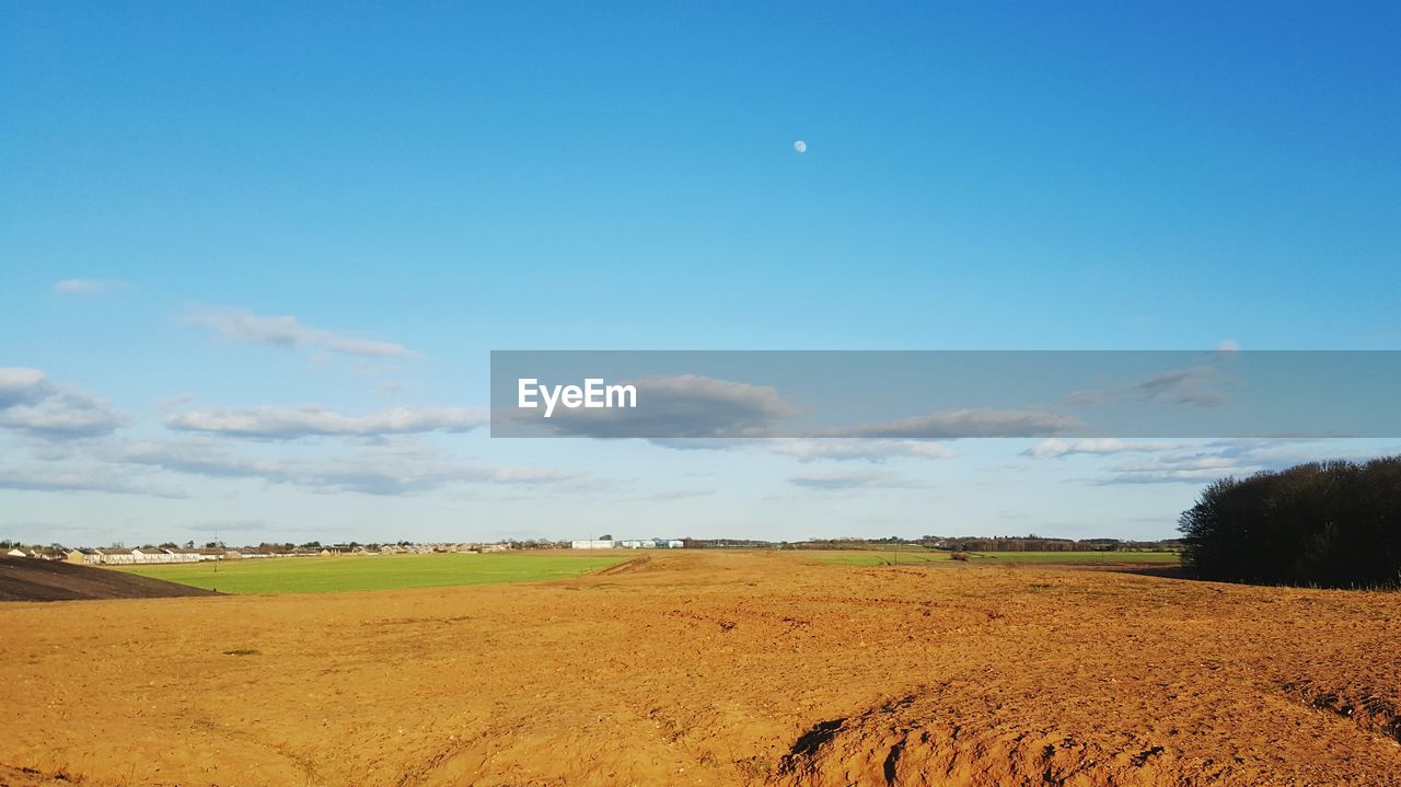 SCENIC VIEW OF FARM AGAINST BLUE SKY