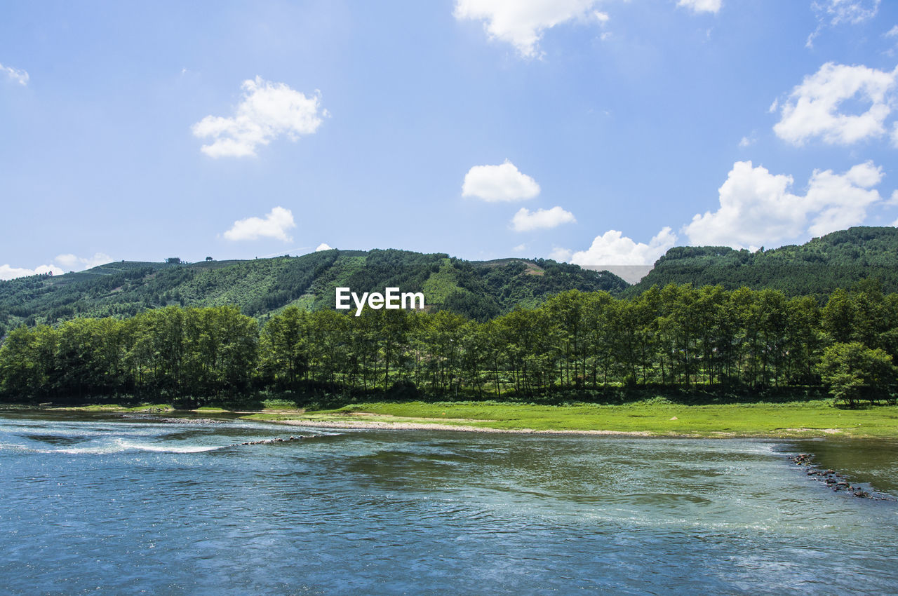 Scenic view of river by trees against sky