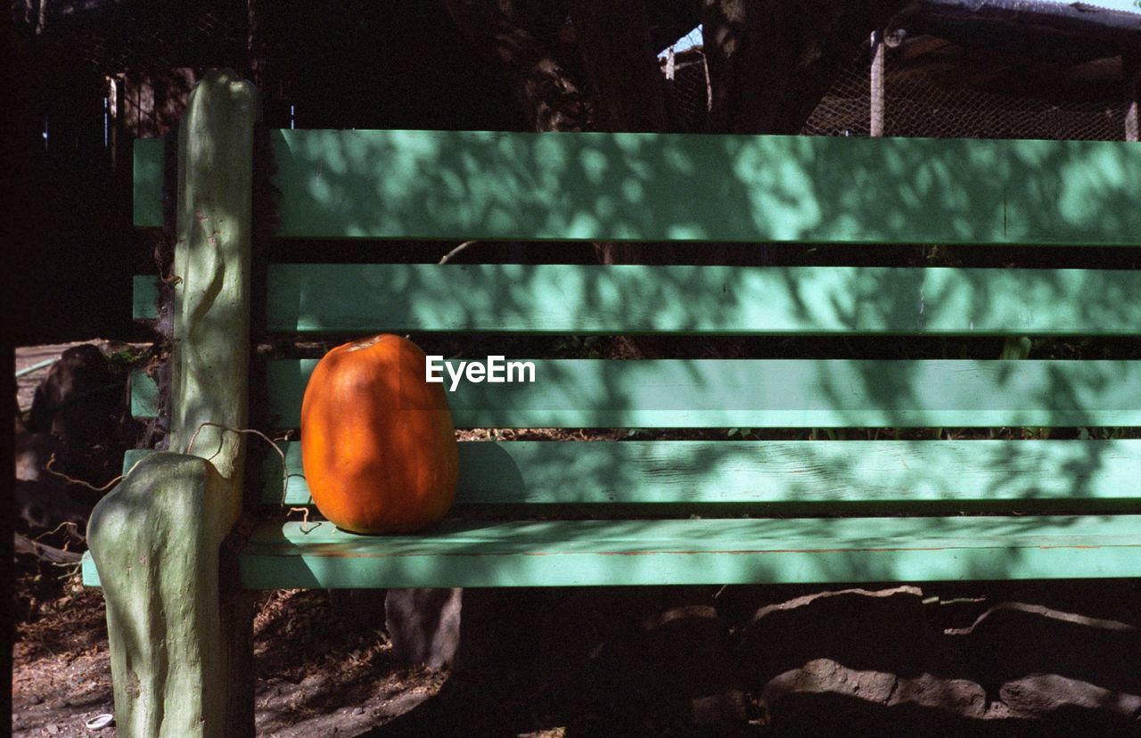 View of pumpkin on bench
