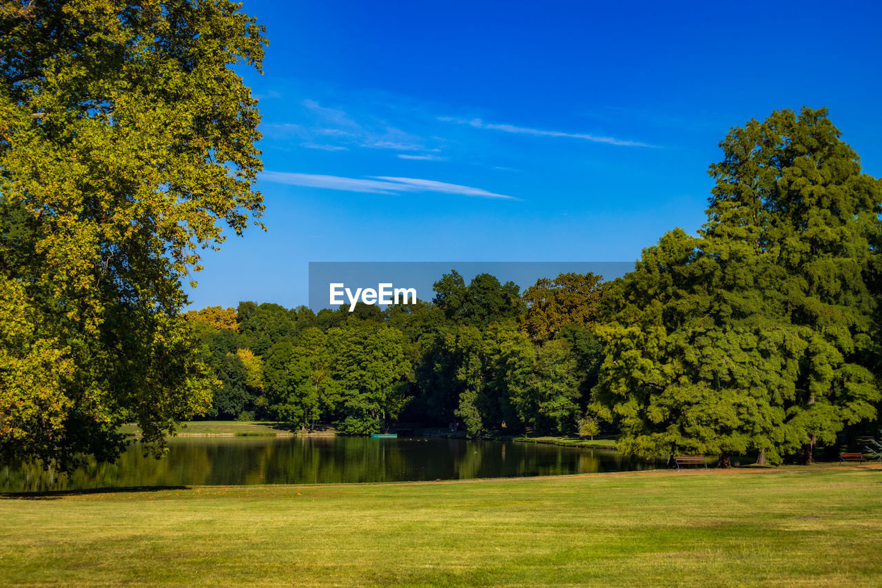 Scenic view of trees by lake against blue sky