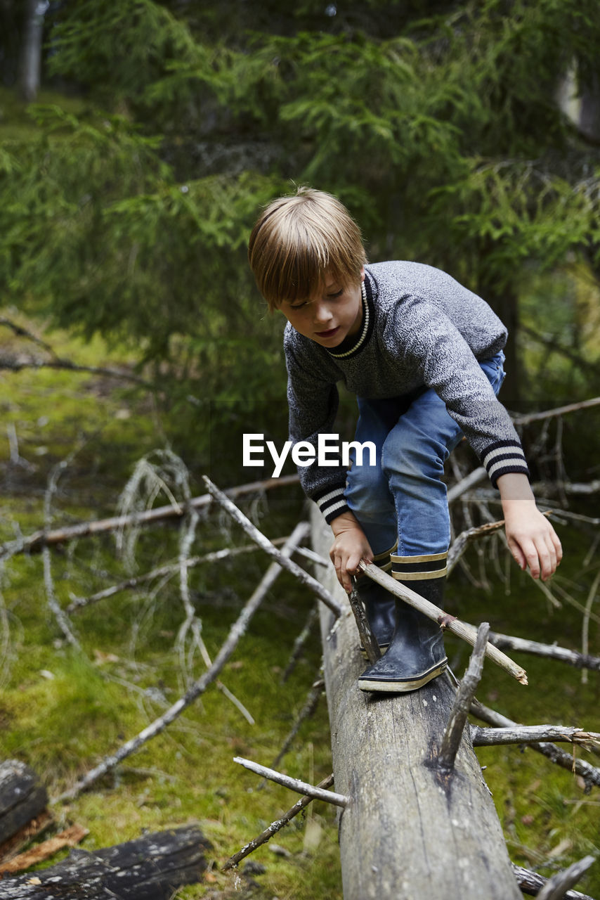 Boy on fallen tree