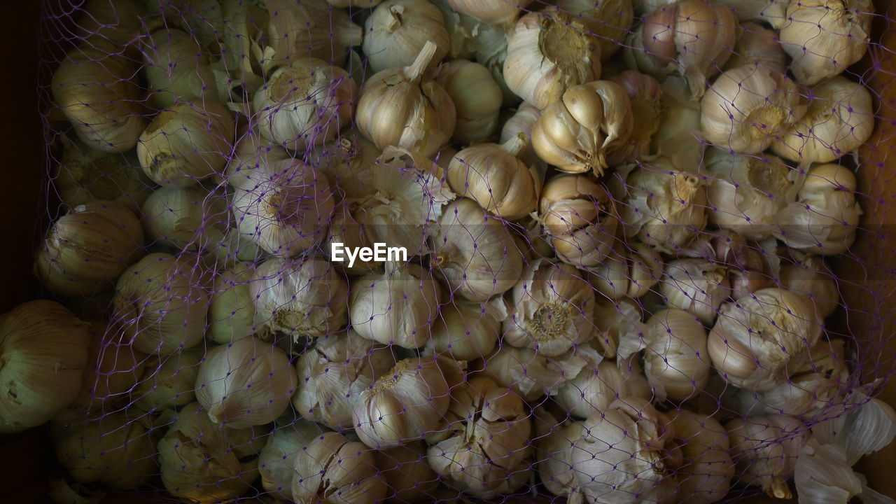Close-up of garlic bulbs in net