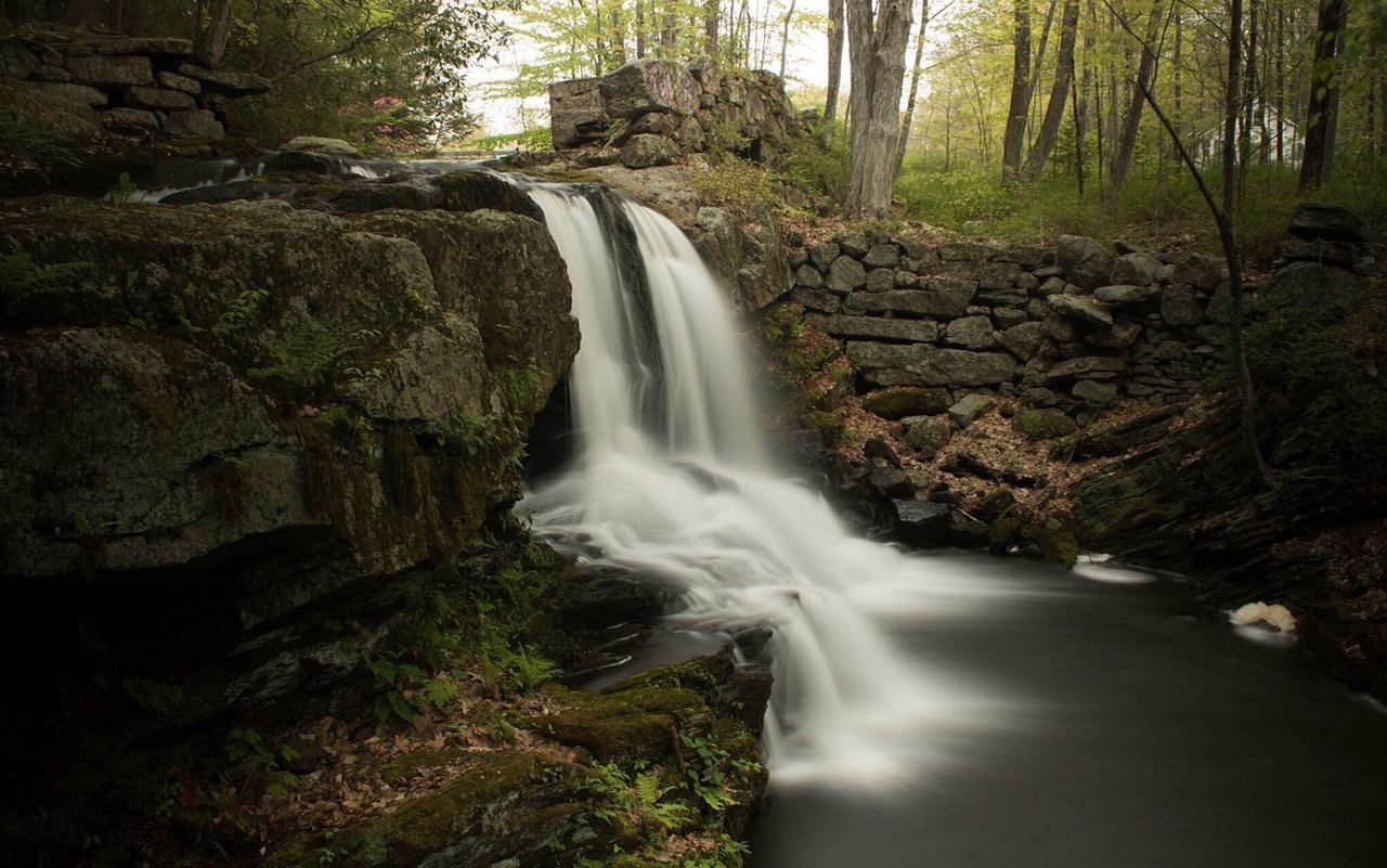 View of waterfall in forest