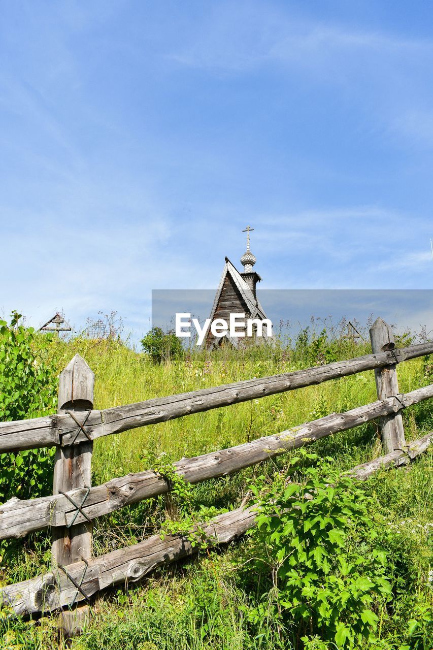 PLANTS GROWING ON FIELD AGAINST SKY