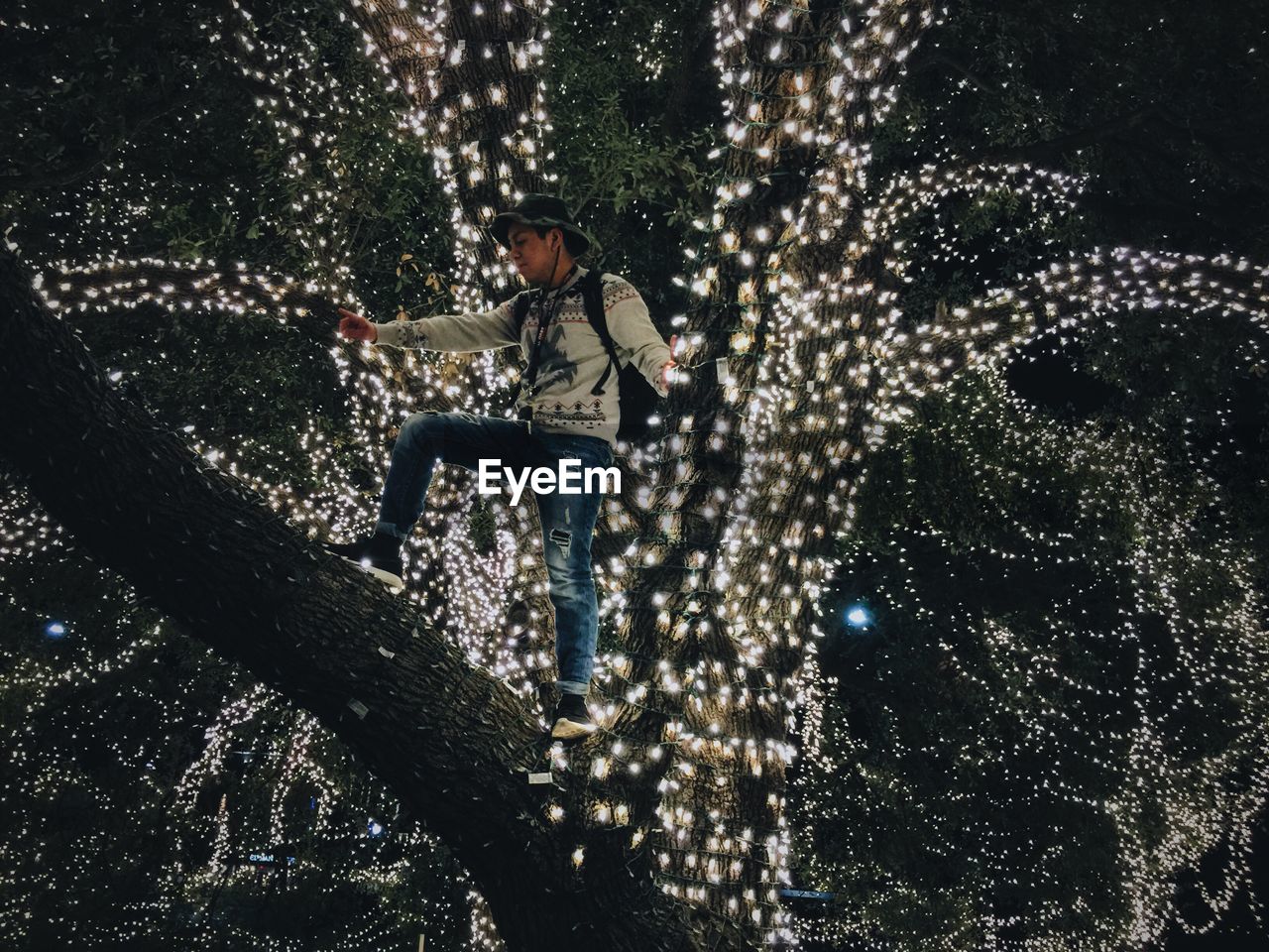 Low angle view of man standing on illuminated tree at night