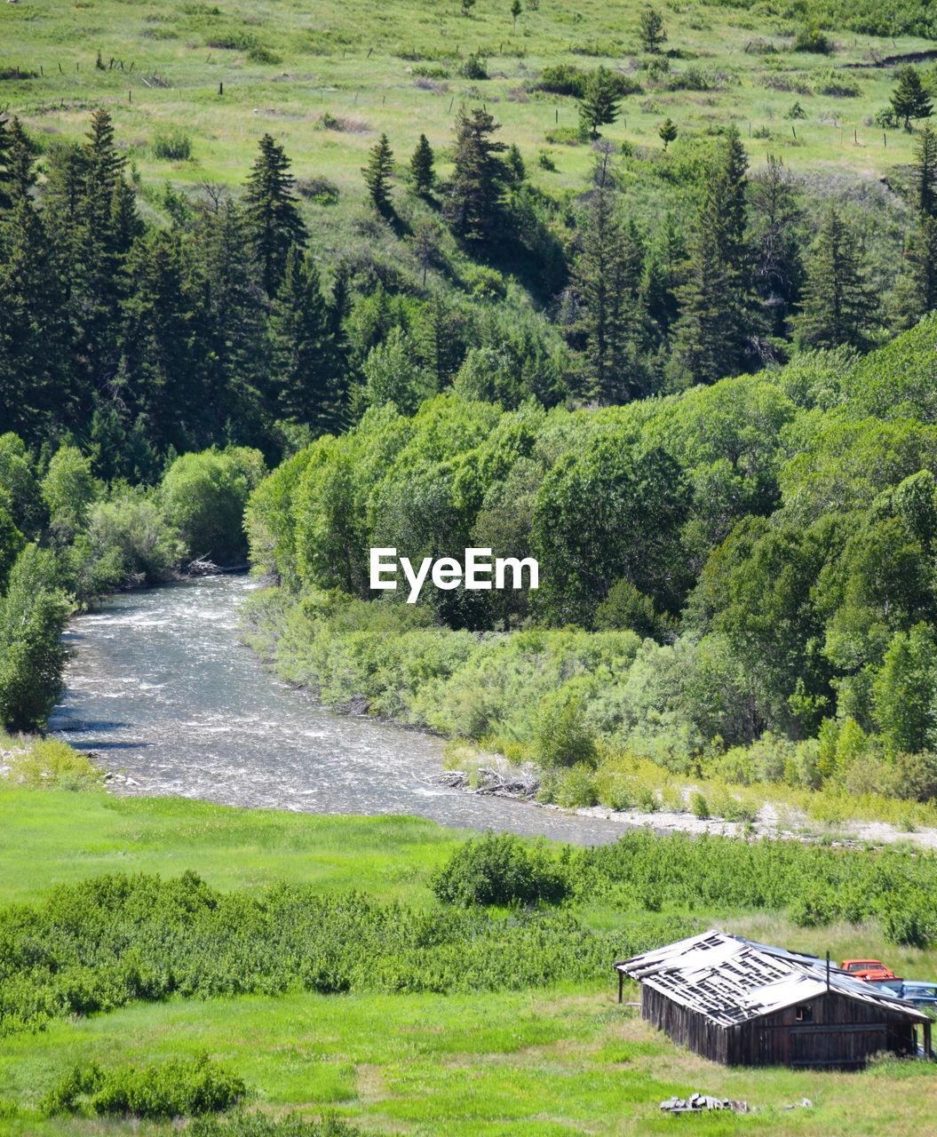 Scenic view of land and trees in forest