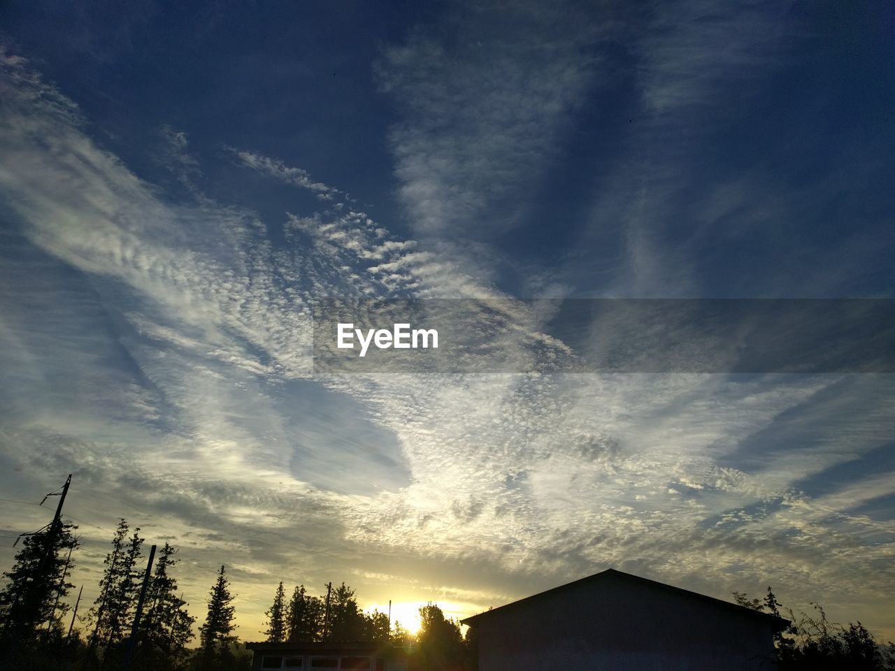 Low angle view of silhouette trees and buildings against sky