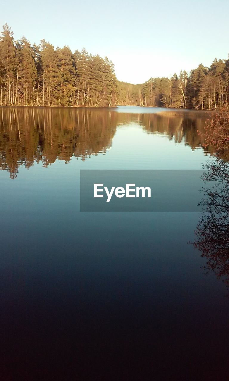 Reflection of trees in lake against sky