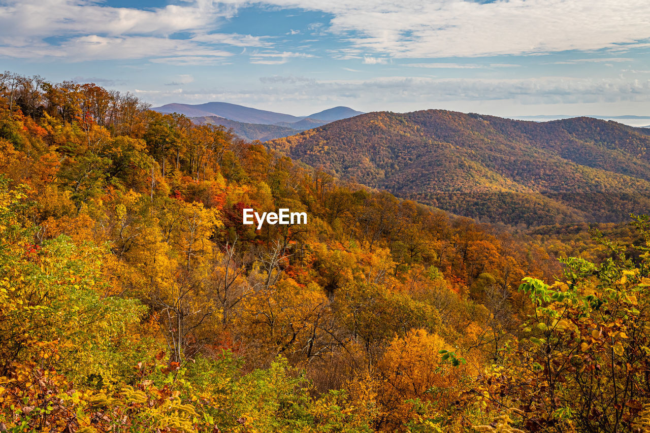 SCENIC VIEW OF LANDSCAPE DURING SUNSET