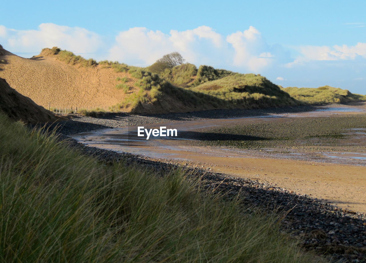 Scenic view of beach against sky