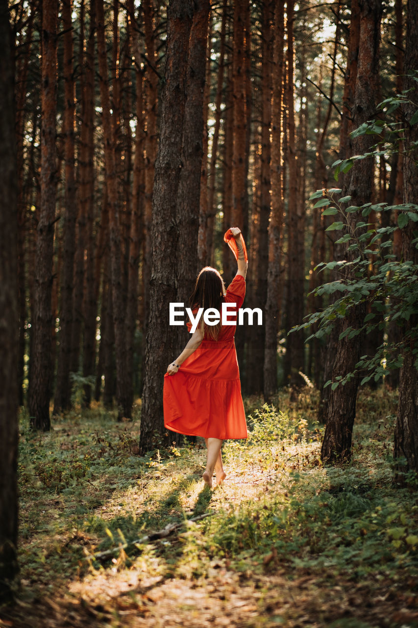 Alone woman in red dress dance on sun pine forest nature background