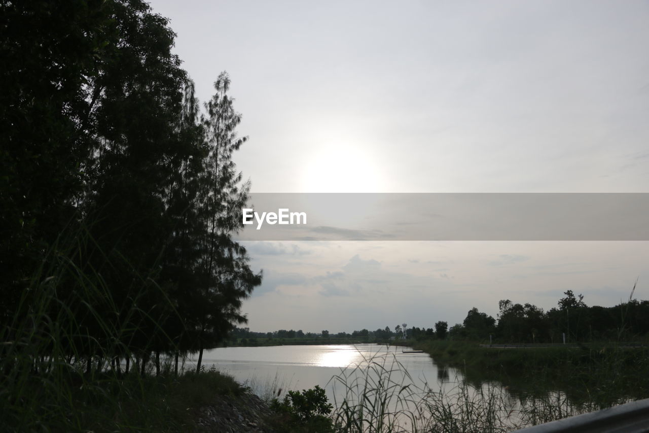 VIEW OF CALM LAKE AGAINST TREES