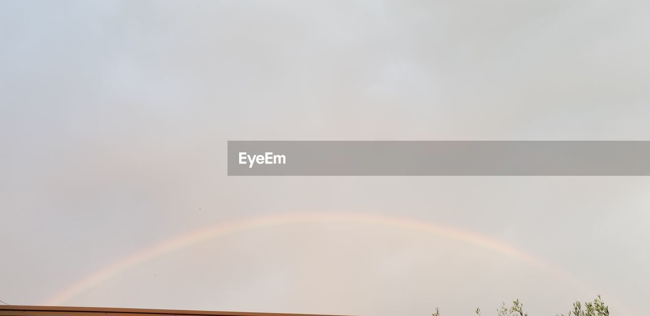 RAINBOW OVER TREES AGAINST SKY