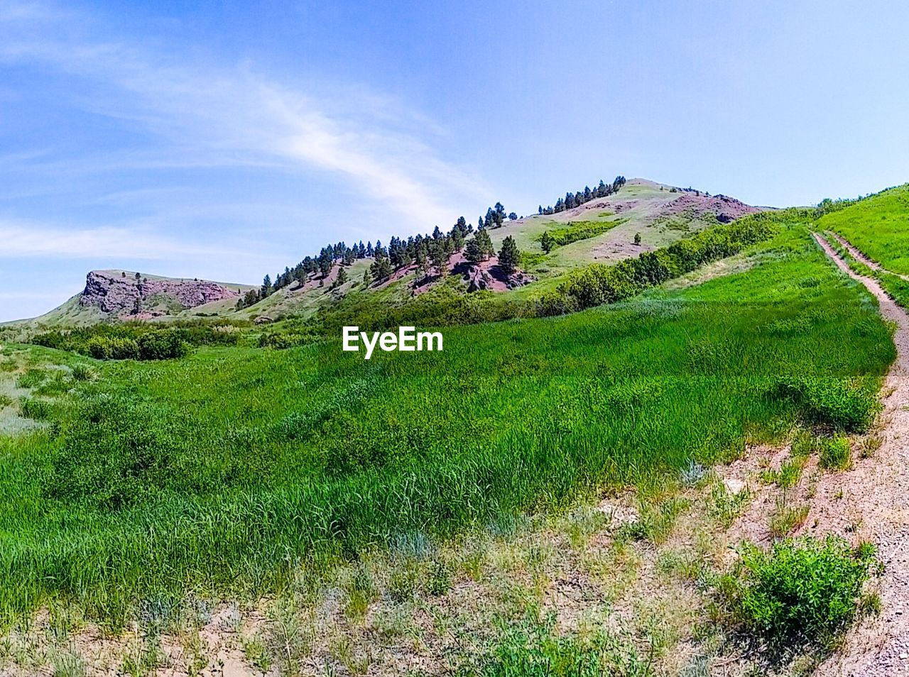 SCENIC VIEW OF FARM