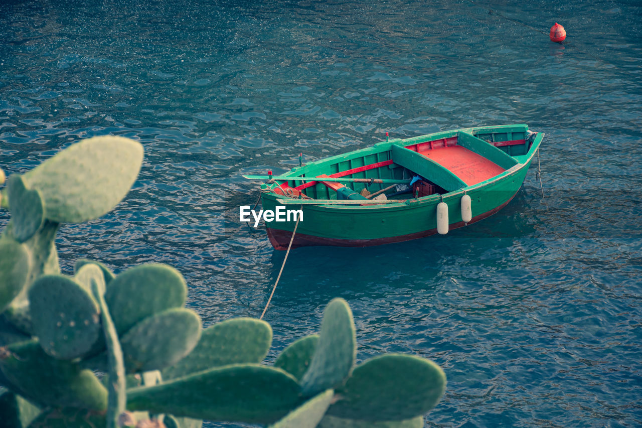 Beautiful old colored fishing wooden boat on the water with prickly pear cactus plant in foreground