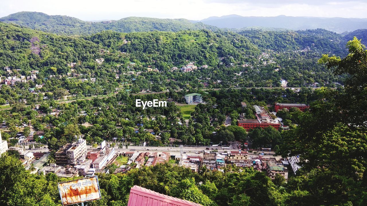 HIGH ANGLE VIEW OF TREES AGAINST MOUNTAINS