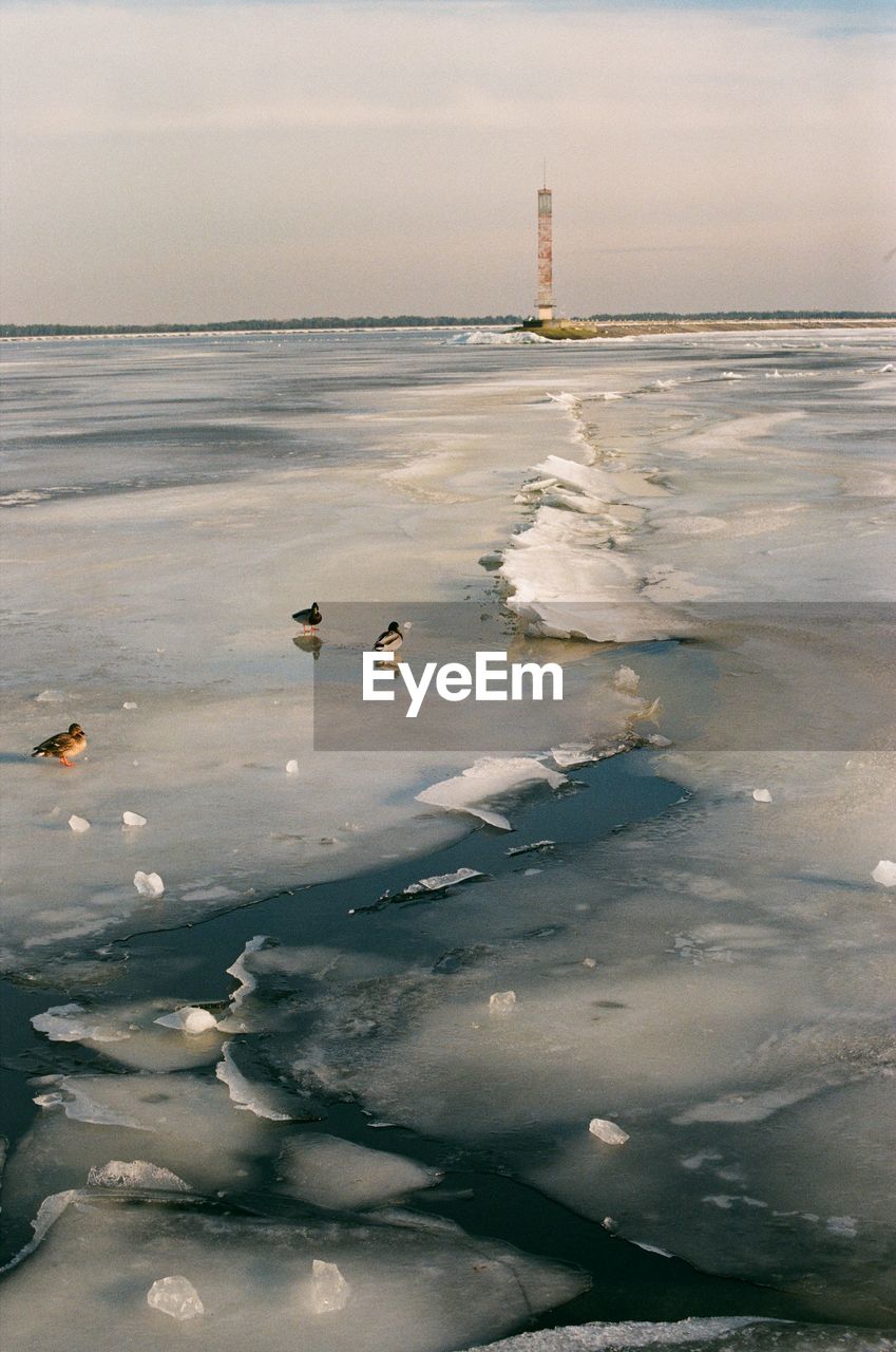 close-up of water