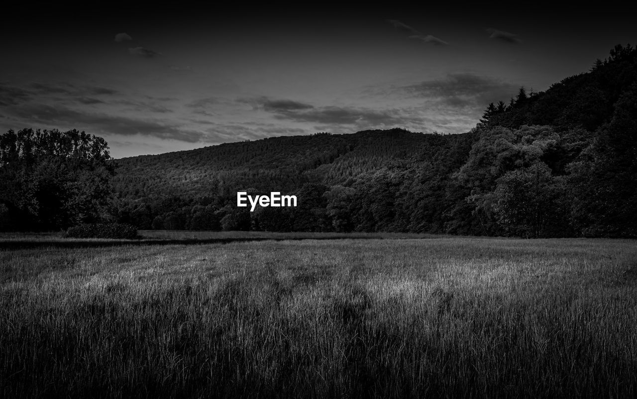 SCENIC VIEW OF GRASSY FIELD AGAINST SKY