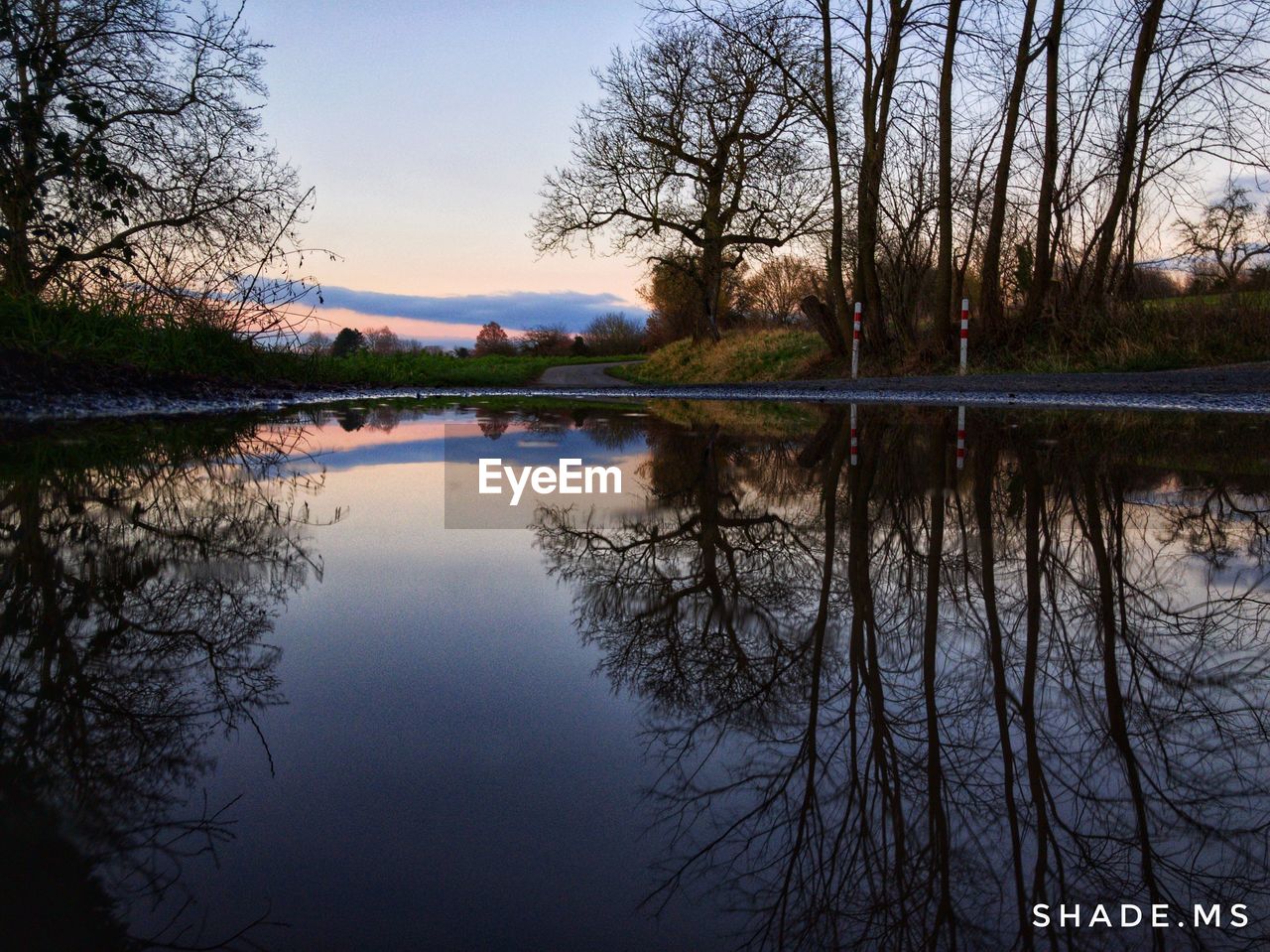 REFLECTION OF TREES IN LAKE AGAINST SKY