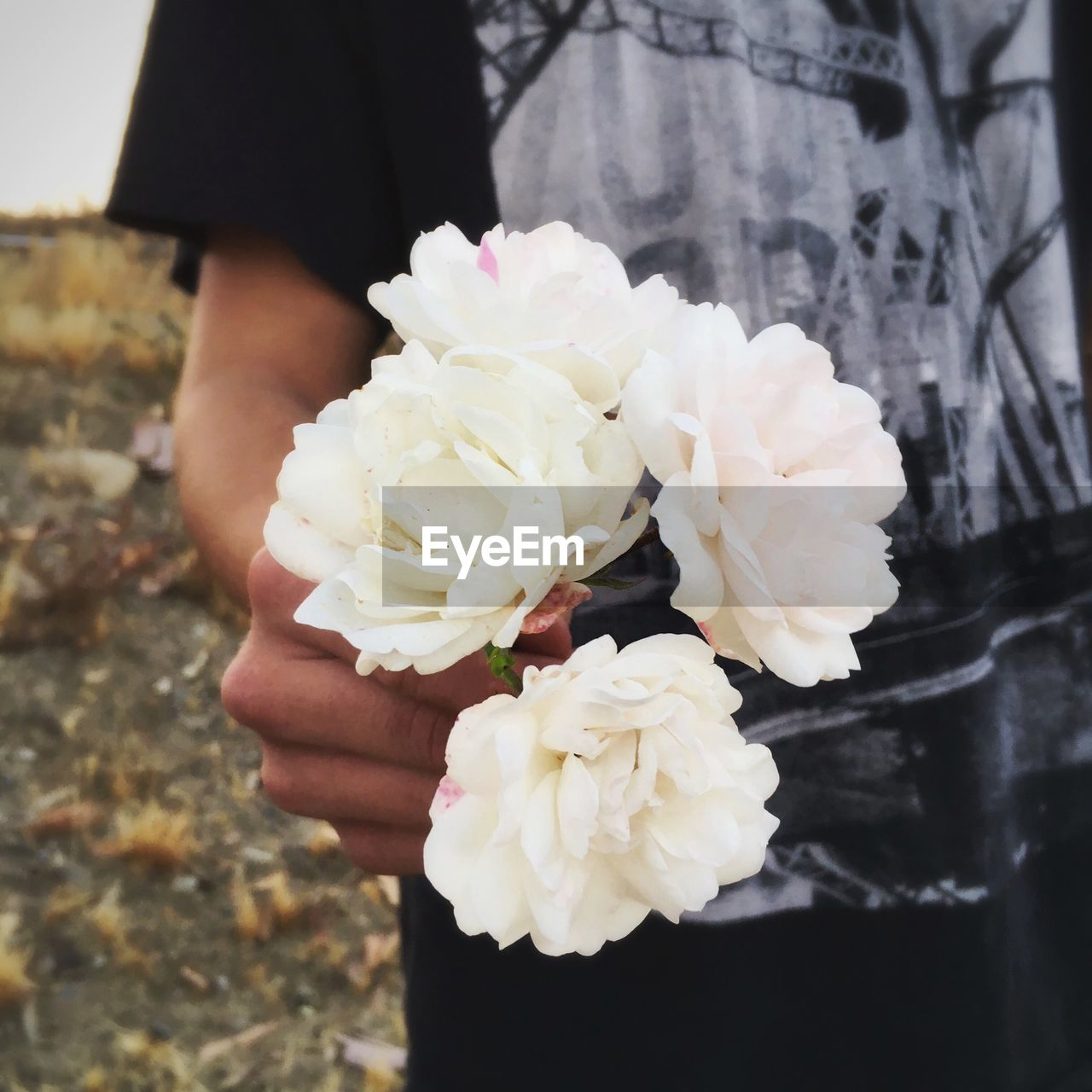 CLOSE-UP OF WHITE ROSES