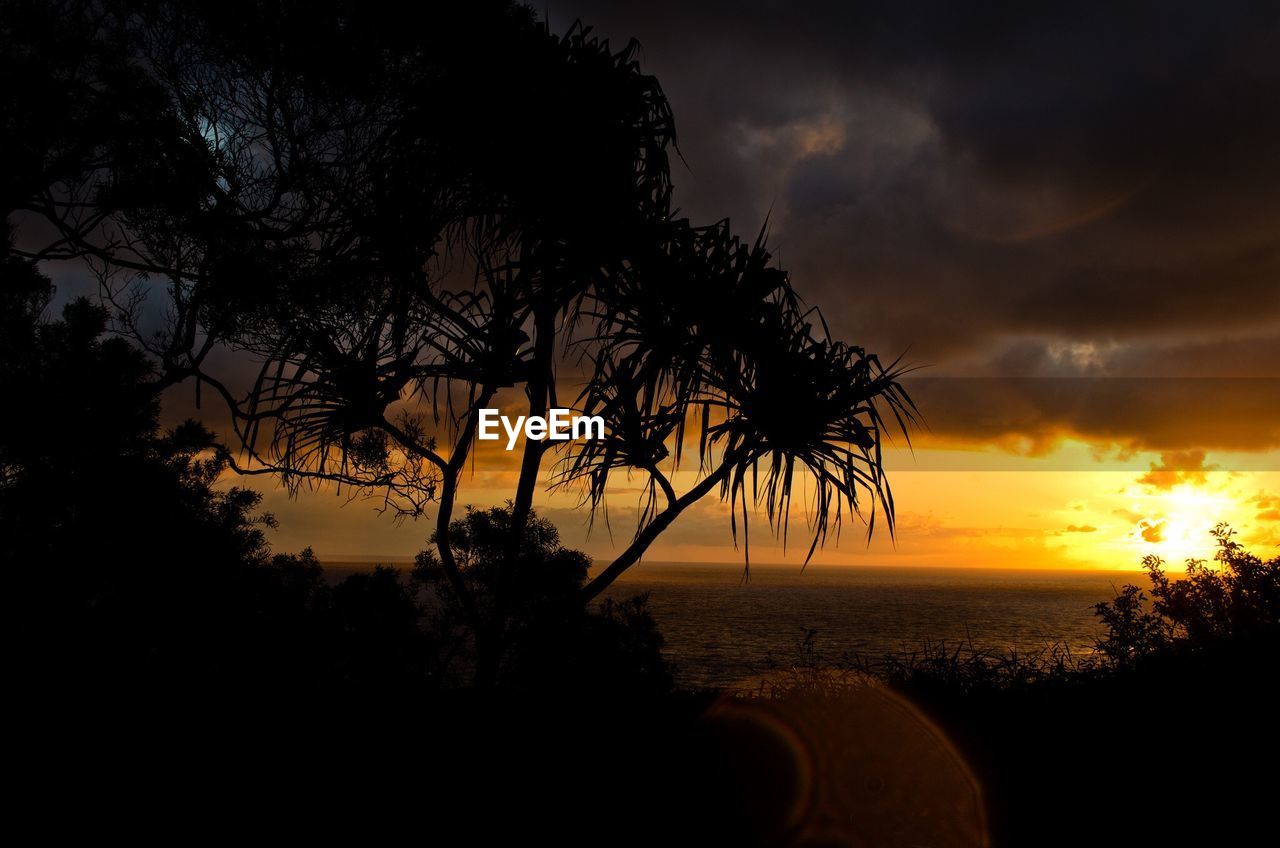 Silhouette trees by sea against cloudy sky