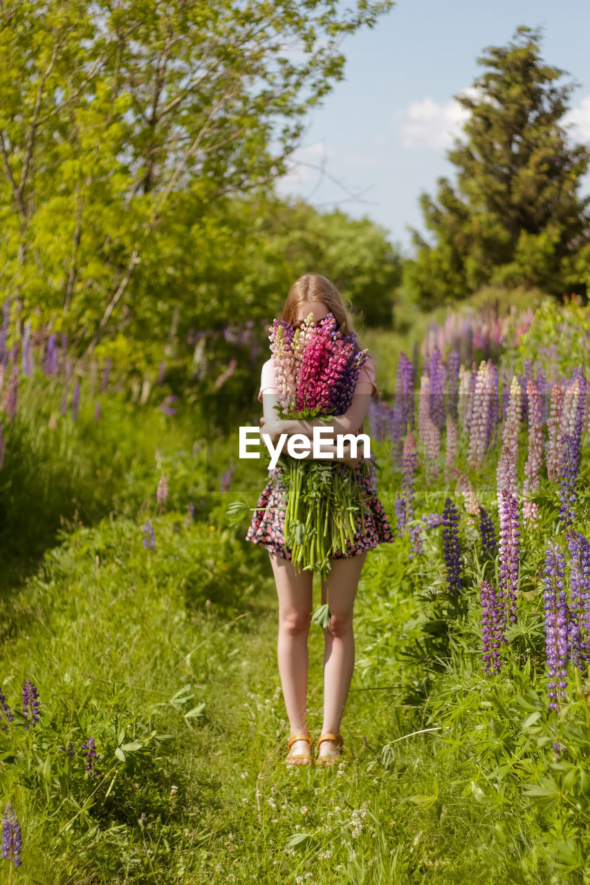 Young woman in the field of flowers with bunch of lupines