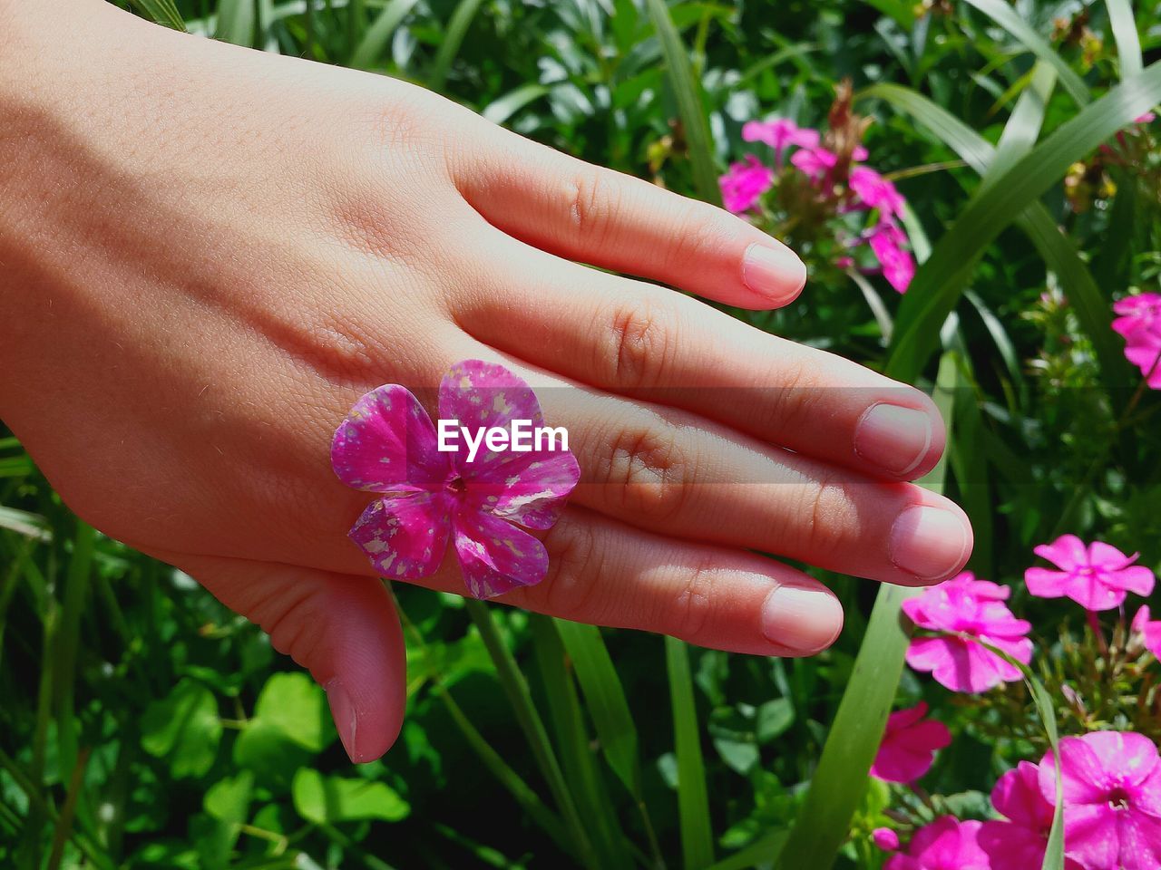 Cropped image of woman with pink flower in garden