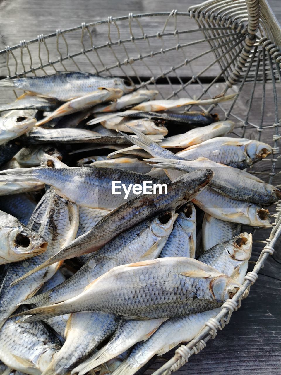 High angle view of fish in basket