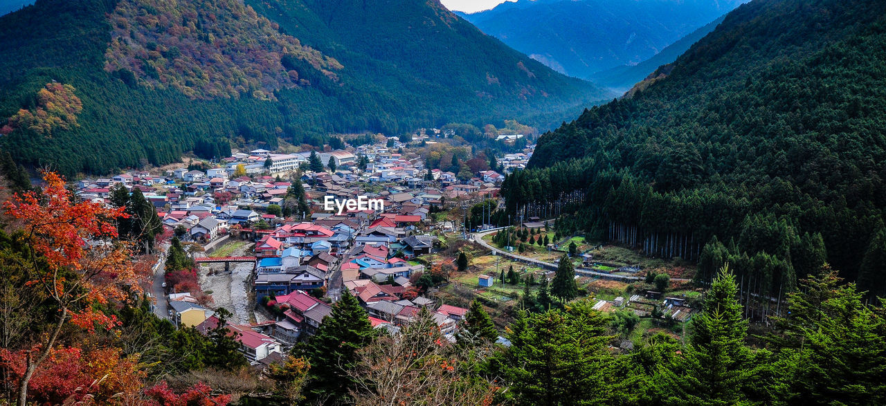 HIGH ANGLE VIEW OF TREES AND BUILDINGS IN MOUNTAINS