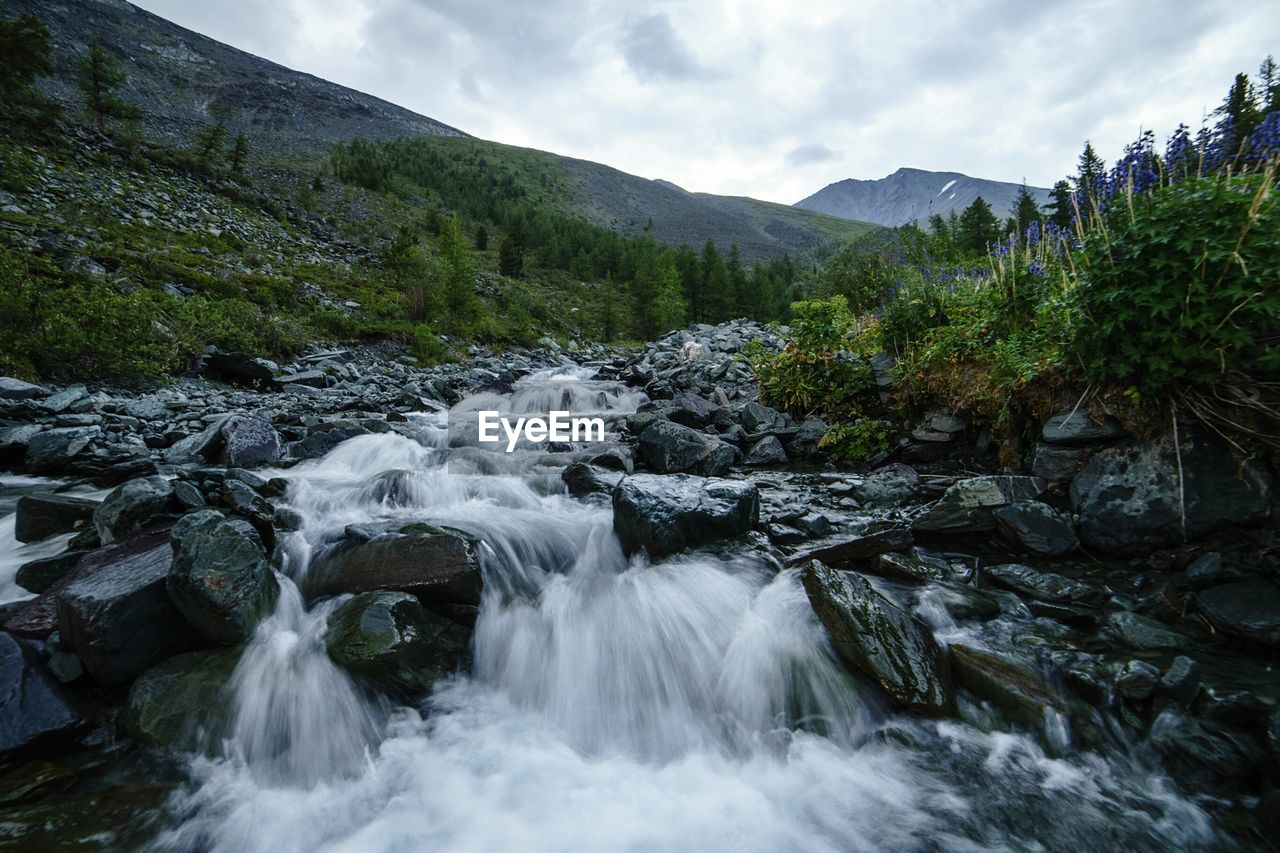 Scenic view of stream flowing through rocks at altai mountains