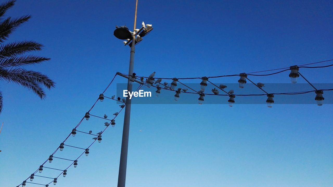 Low angle view of electricity pylon and pigeons against clear blue sky