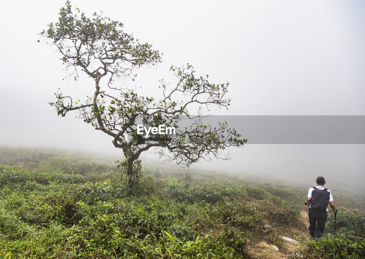 Woman hiking in the mist of the sri lankan highlands