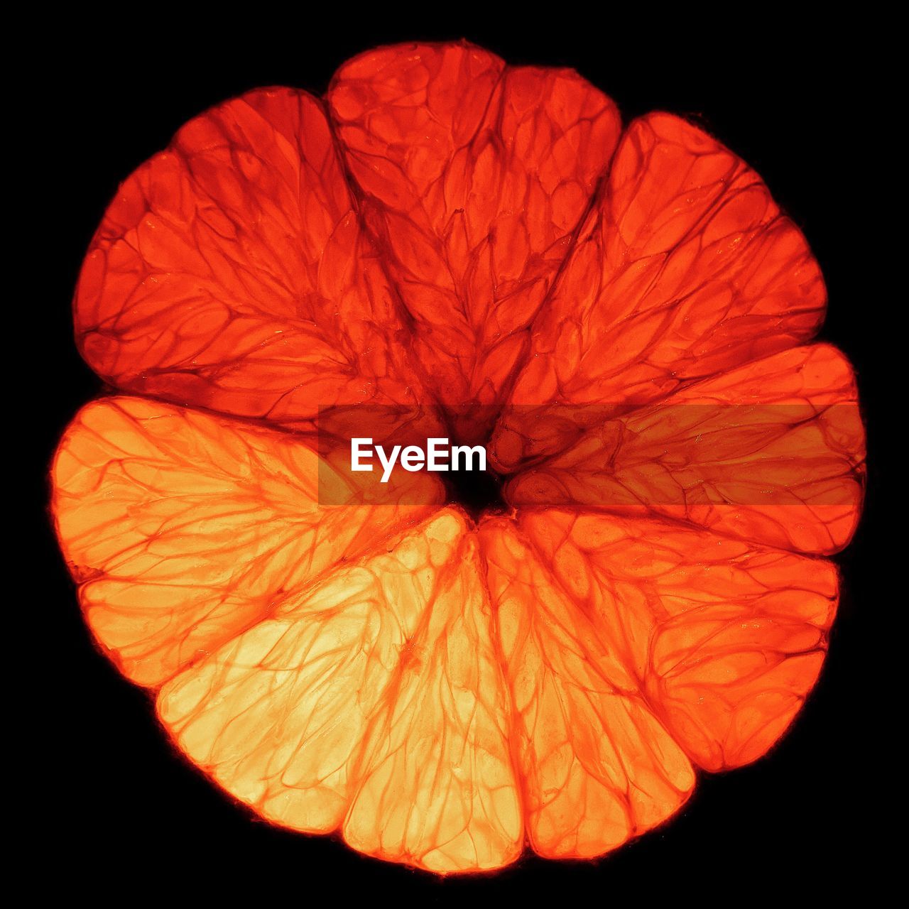 Close-up of orange segments against black background