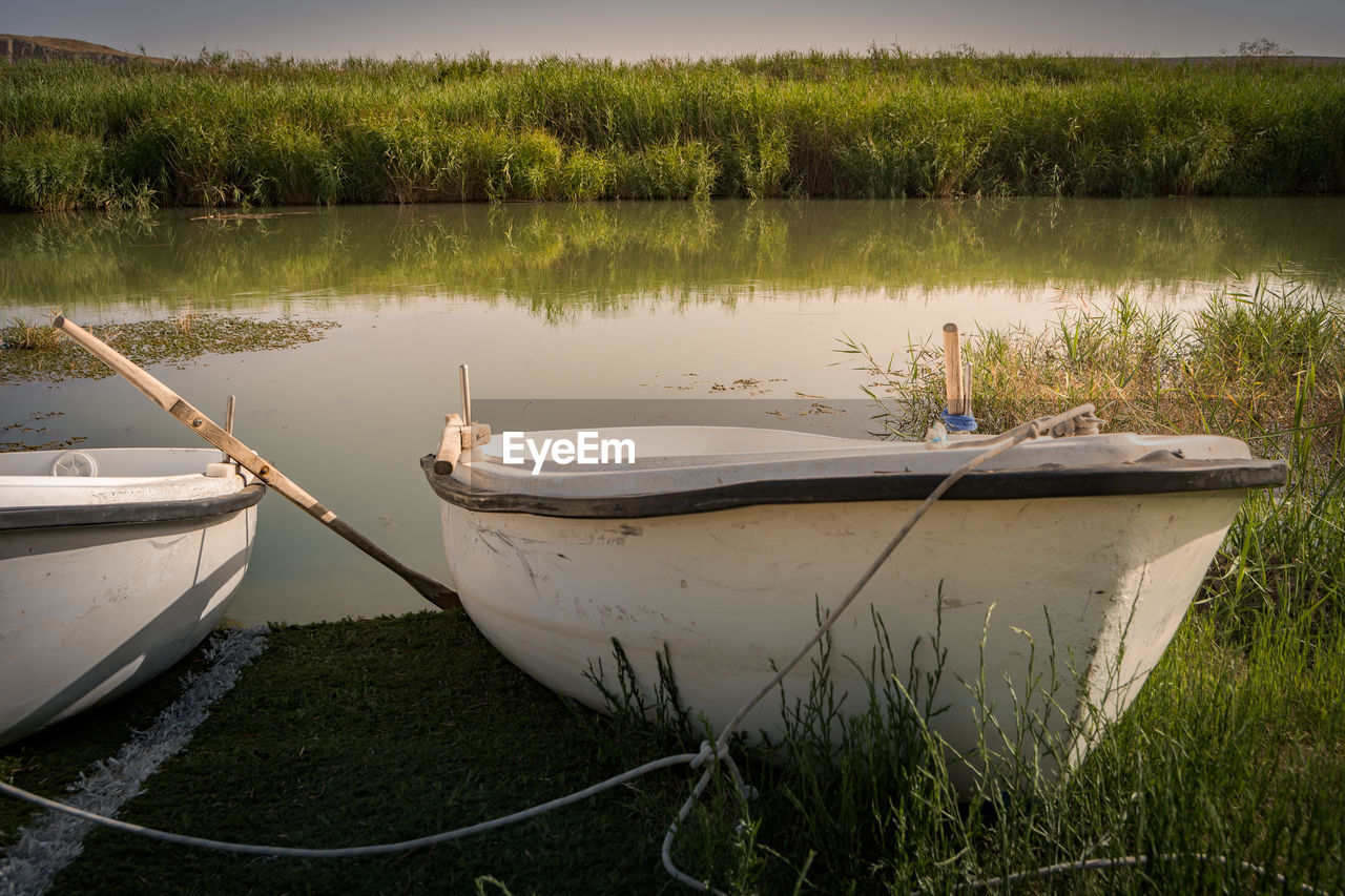 SCENIC VIEW OF LAKE BY PLANTS