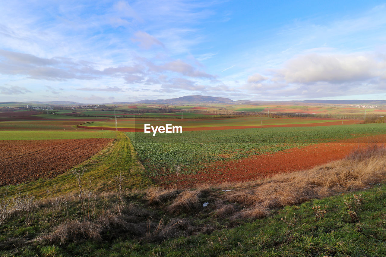 Scenic view of field against sky