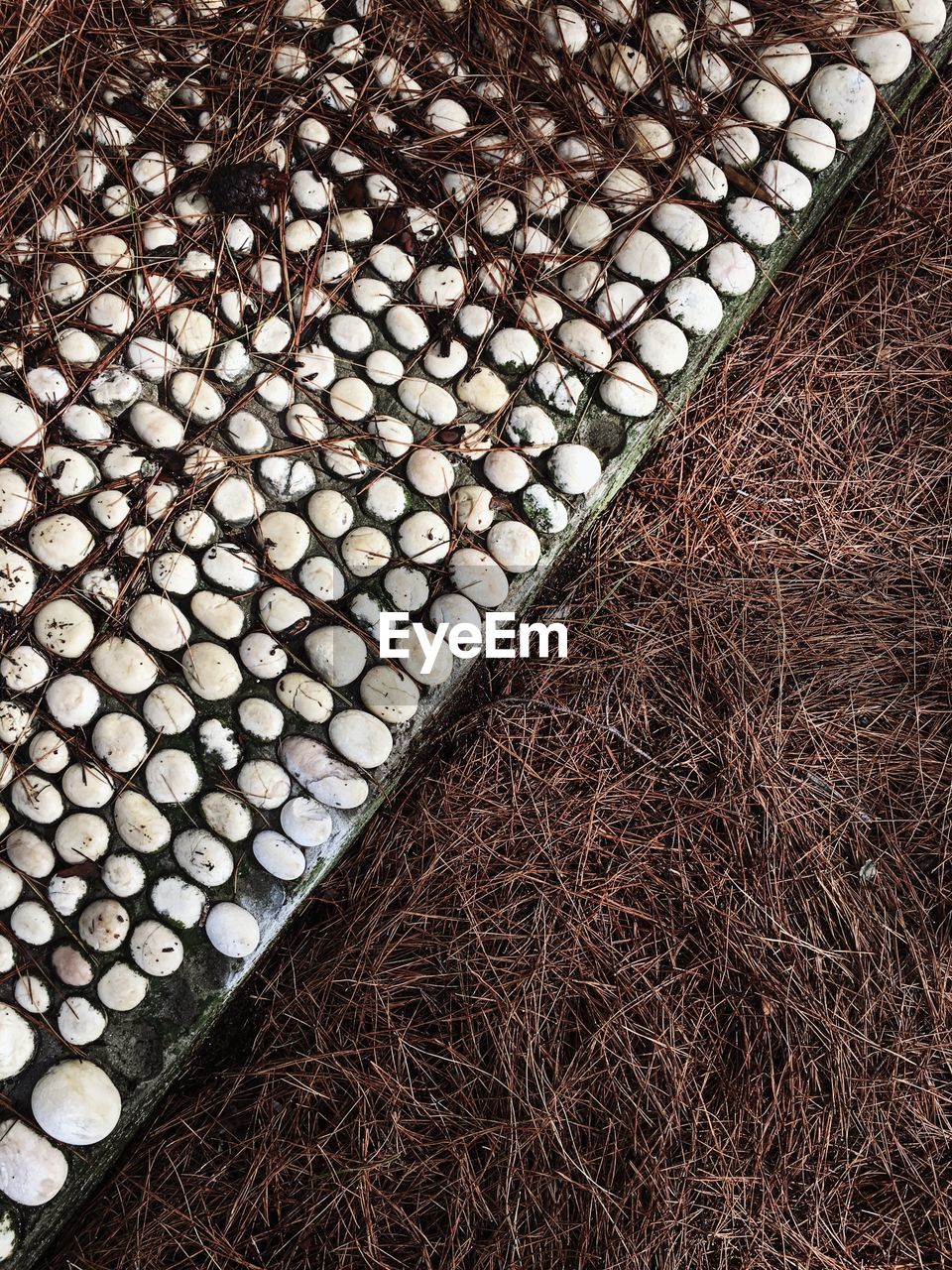 EXTREME CLOSE UP OF STONE FOOTPATH