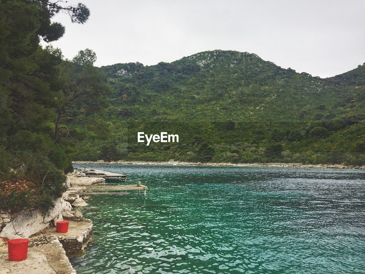 SCENIC VIEW OF RIVER BY TREE MOUNTAIN AGAINST SKY